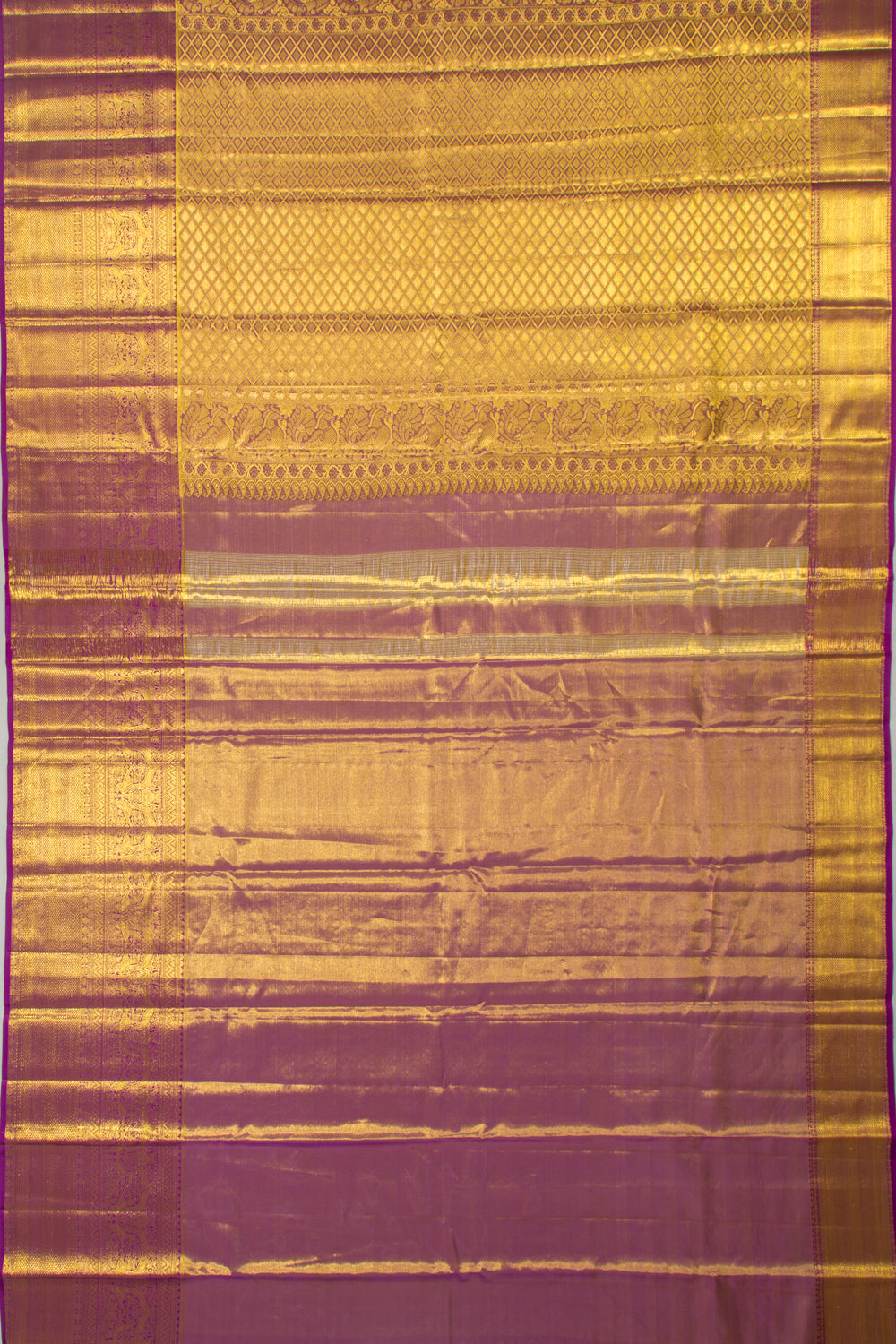 Taranga Kanchi Silk Tissue Brocade Gold Saree