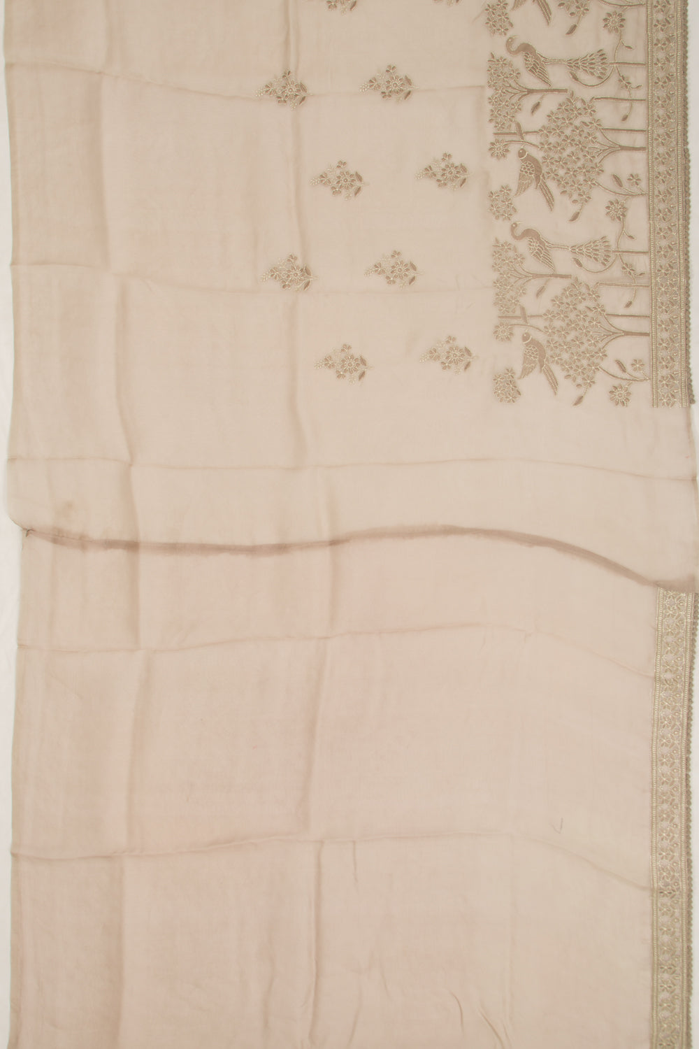 Organza Floral Embroidery Butta Cream Saree