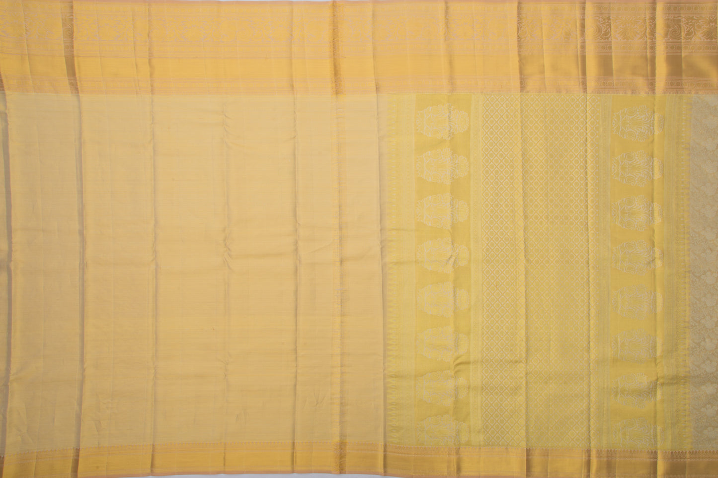 Taranga Kanchi Silk Tissue Brocade Gold Saree