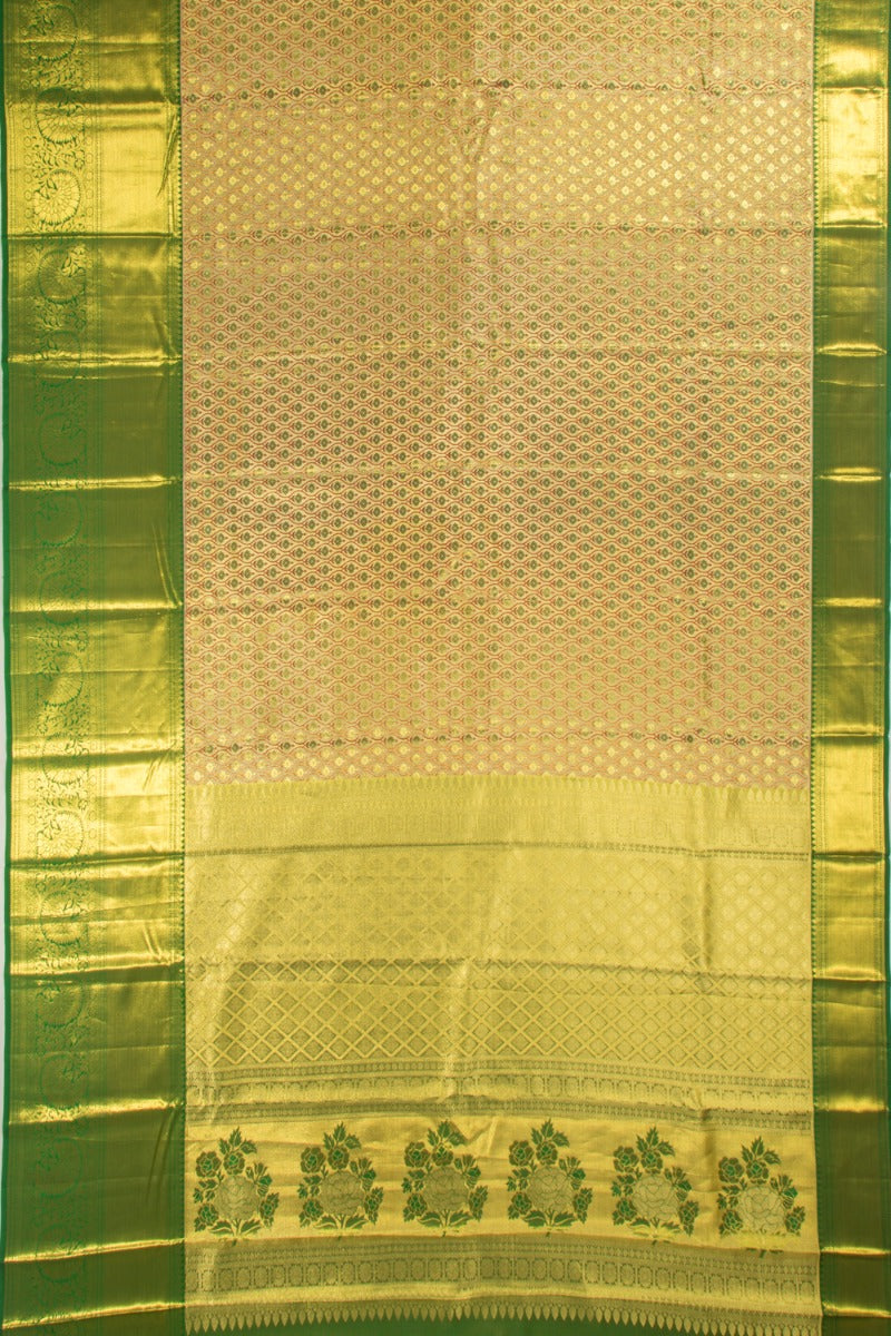 Taranga Kanchi Silk Tissue Brocade Gold Saree