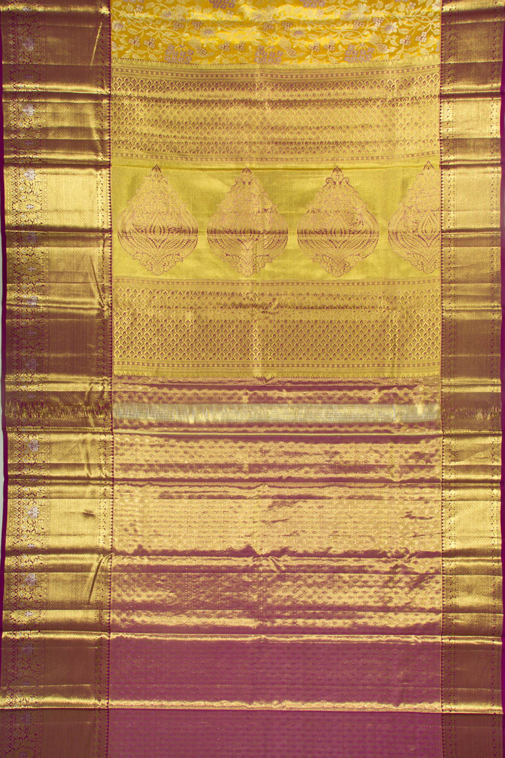 Taranga Kanchi Silk Tissue Jaal Gold Saree