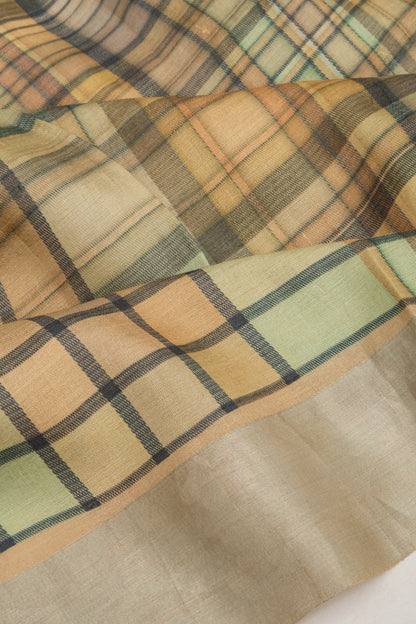 Tussar Checks Multicolour Saree