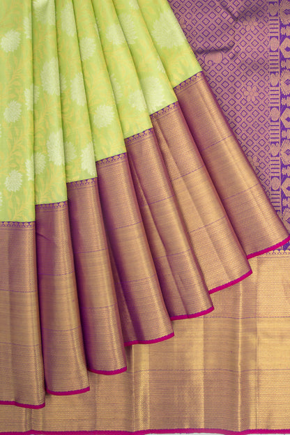 Kanchipuram Silk Jaal Pastel Green Saree