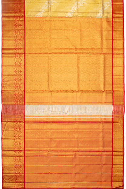 Kanchipuram Silk Tissue Jaal Gold Saree