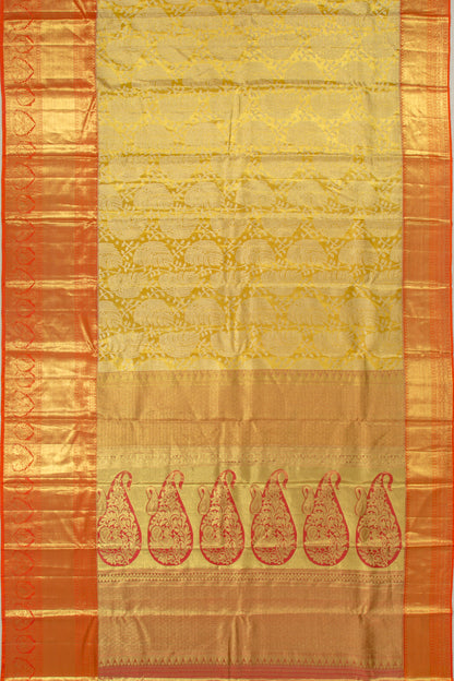 Taranga Kanchi Silk Tissue Jaal Yellow Saree
