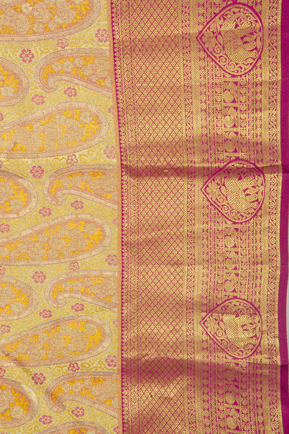 Taranga Kanchi Silk Tissue Brocade Gold Saree