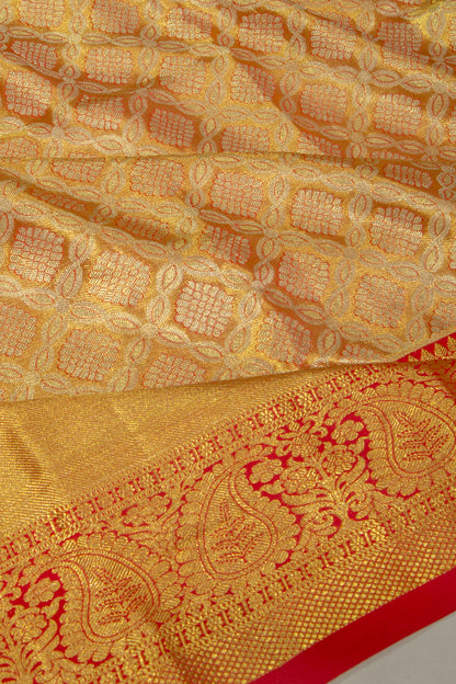 Taranga Kanchi Silk Tissue Brocade Gold Saree