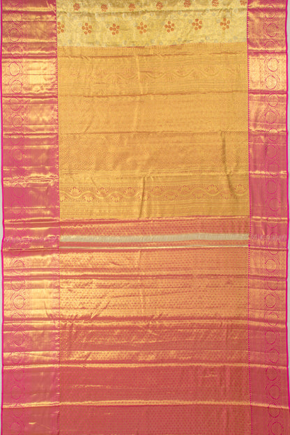 Taranga Kanchi Silk Tissue Brocade Gold Saree