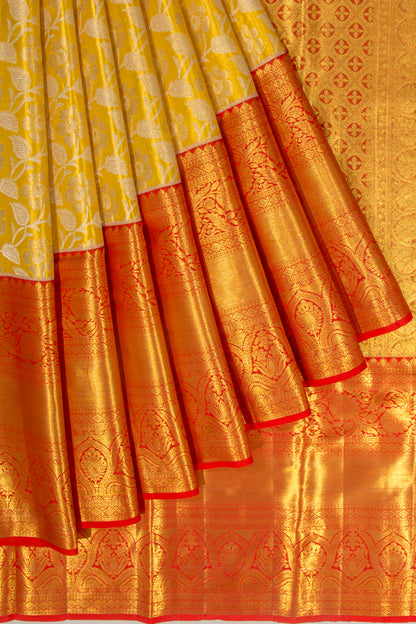 Taranga Kanchi Silk Tissue Jaal Gold Saree