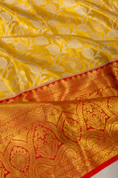 Taranga Kanchi Silk Tissue Jaal Gold Saree