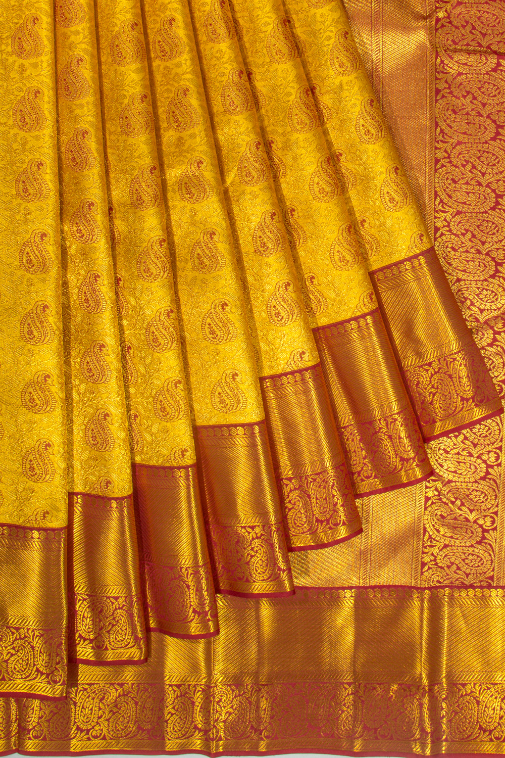 Taranga Kanchi Silk Tissue Brocade Gold Saree