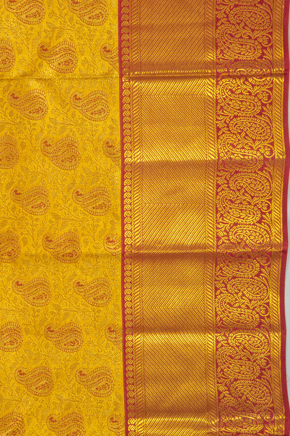 Taranga Kanchi Silk Tissue Brocade Gold Saree