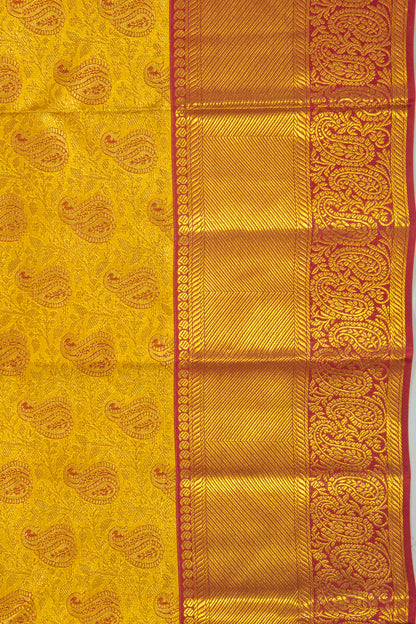 Taranga Kanchi Silk Tissue Brocade Gold Saree
