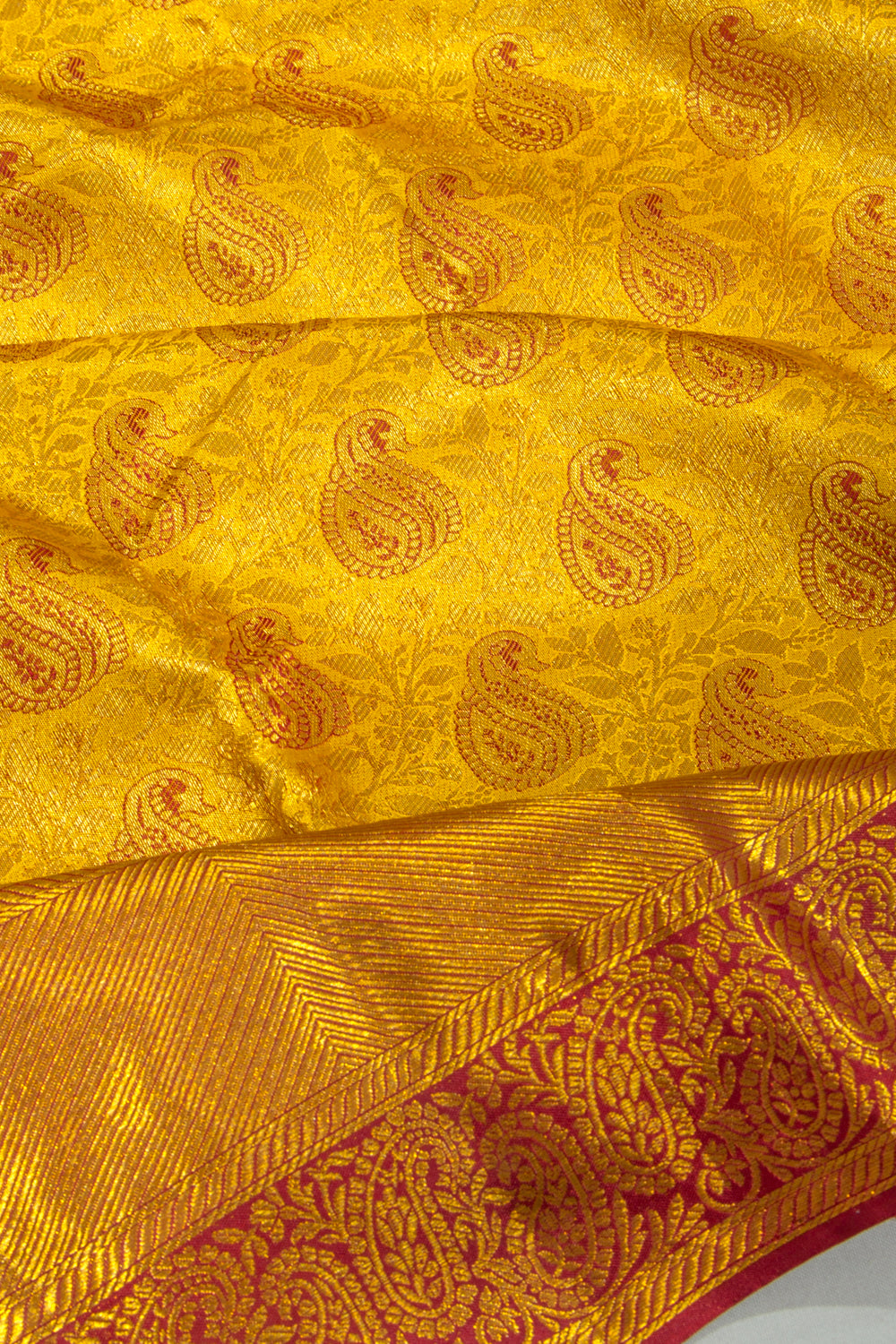 Taranga Kanchi Silk Tissue Brocade Gold Saree