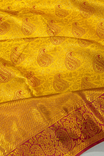 Taranga Kanchi Silk Tissue Brocade Gold Saree
