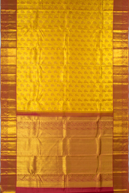 Taranga Kanchi Silk Tissue Brocade Gold Saree