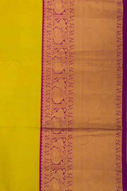 Taranga Kanchi Silk Vertical Lines Mehendi Green Saree