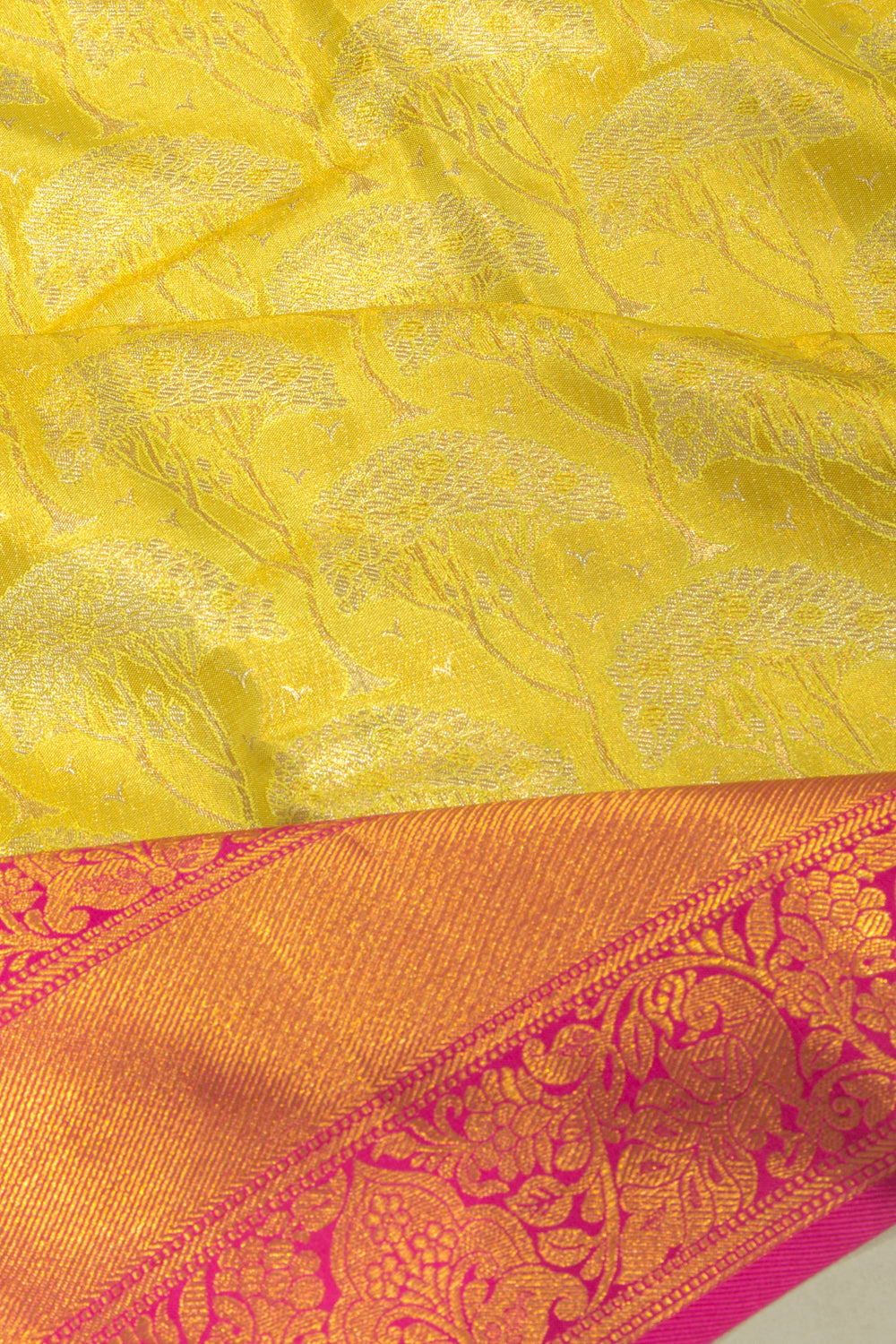 Taranga Kanchi Silk Tissue Jaal Lemon Yellow Saree