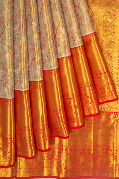 Taranga Kanchi Silk Tissue Jaal Gold Saree