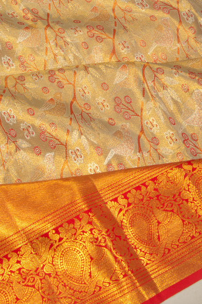 Taranga Kanchi Silk Tissue Jaal Gold Saree