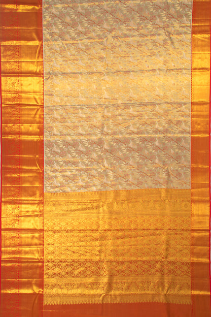 Taranga Kanchi Silk Tissue Jaal Gold Saree