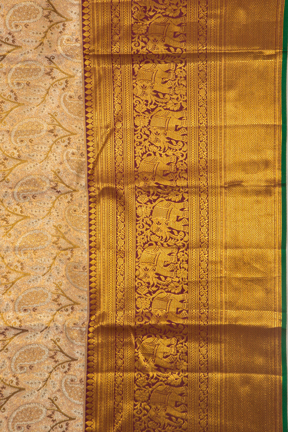 Taranga Kanchi Silk Tissue Brocade Gold Saree