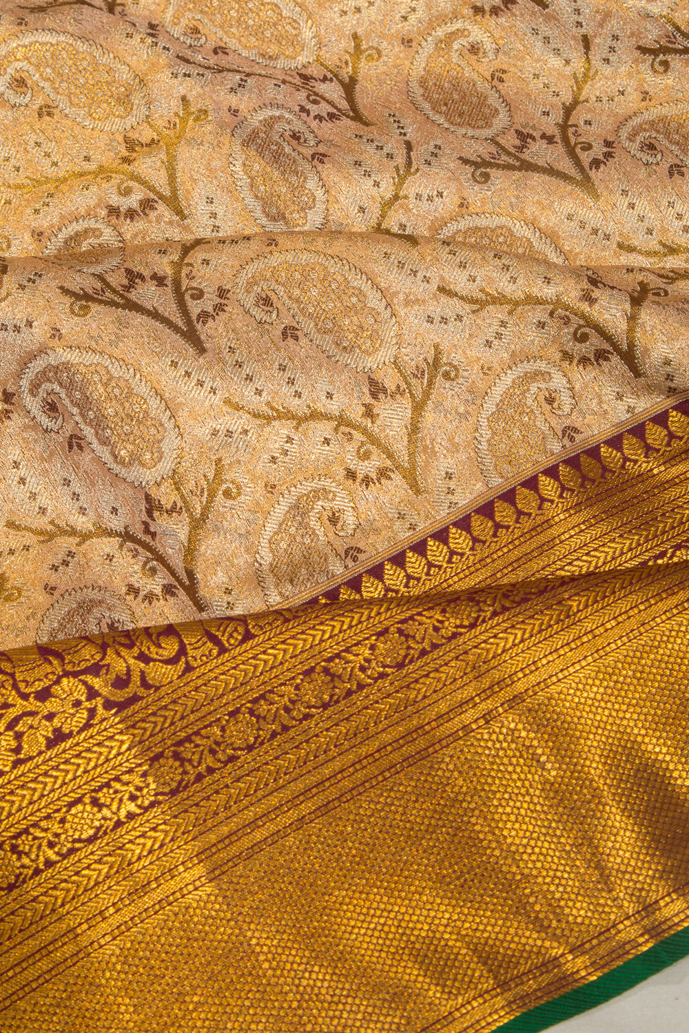 Taranga Kanchi Silk Tissue Brocade Gold Saree