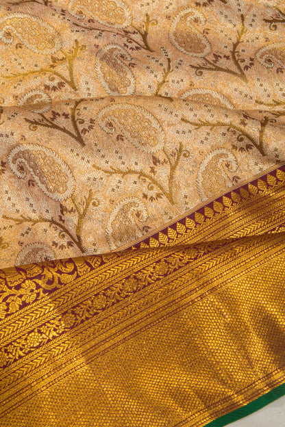 Taranga Kanchi Silk Tissue Brocade Gold Saree