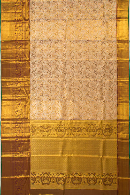 Taranga Kanchi Silk Tissue Brocade Gold Saree