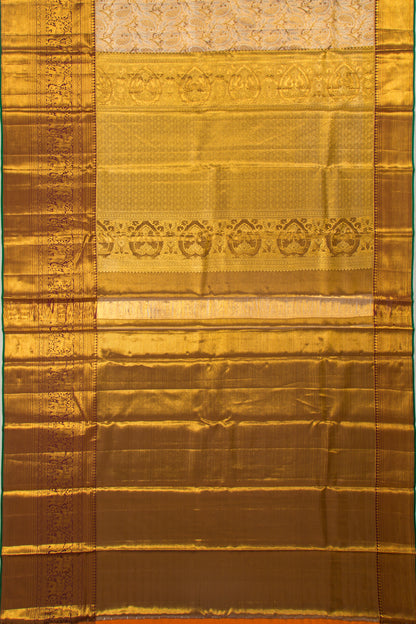 Taranga Kanchi Silk Tissue Brocade Gold Saree