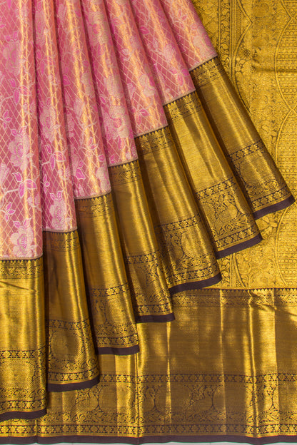 Taranga Kanchi Silk Tissue Brocade Pink Saree