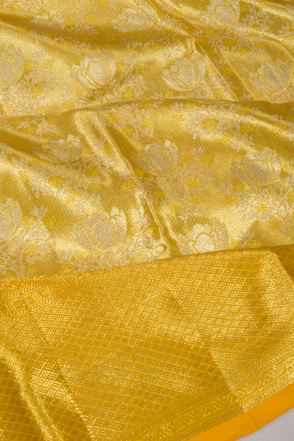 Taranga Kanchi Silk Tissue Jaal Gold Saree