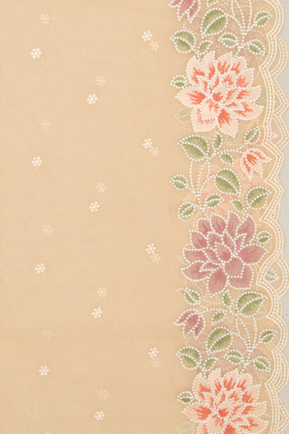 Organza Embroidery Butta Cream Saree
