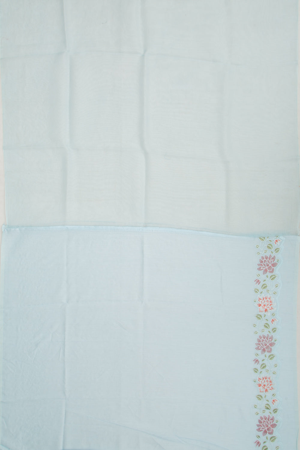 Organza Embroidery Butta Pastel Pastel Blue Saree