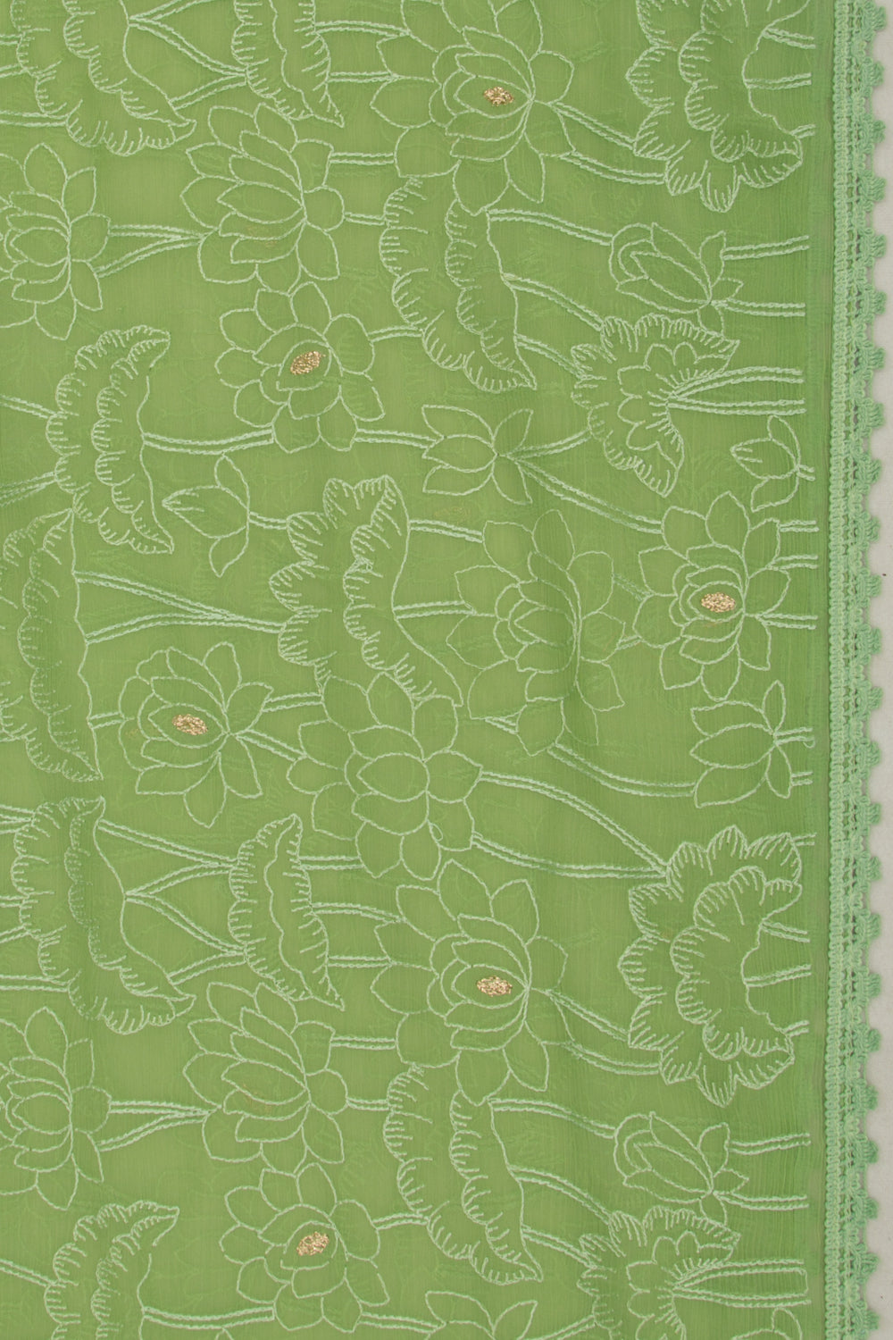 Chiffon Floral Embroidery Green Saree