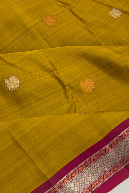 Taranga Kanchi Silk Butta Green Saree