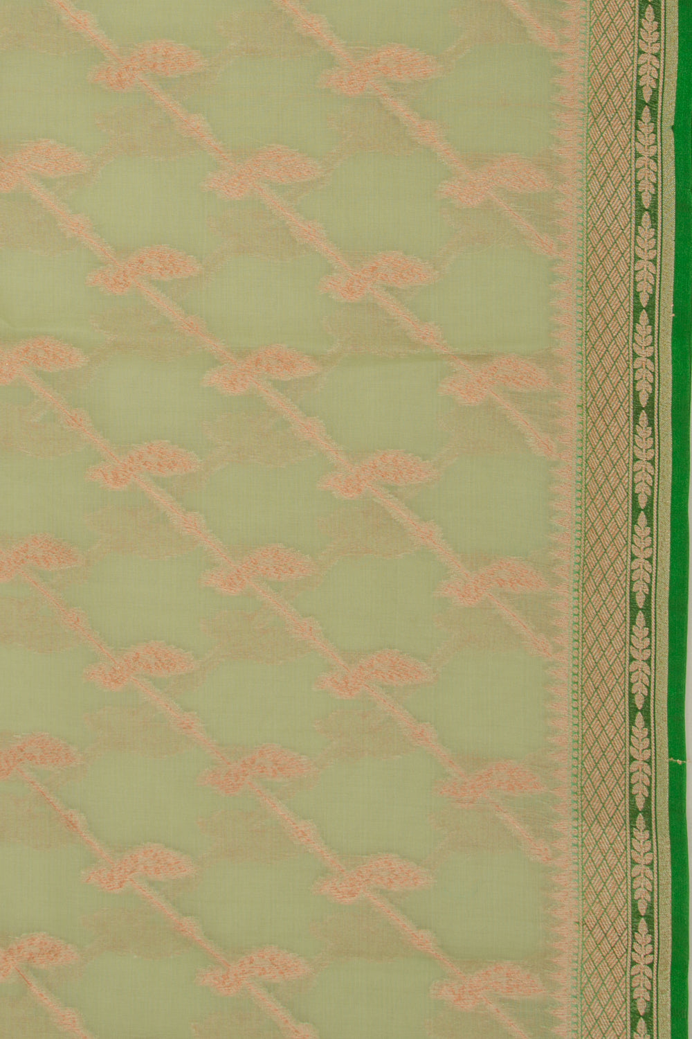 Organza Jaal Pastel Green Saree