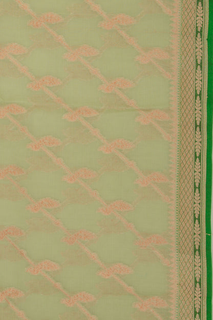 Organza Jaal Pastel Green Saree