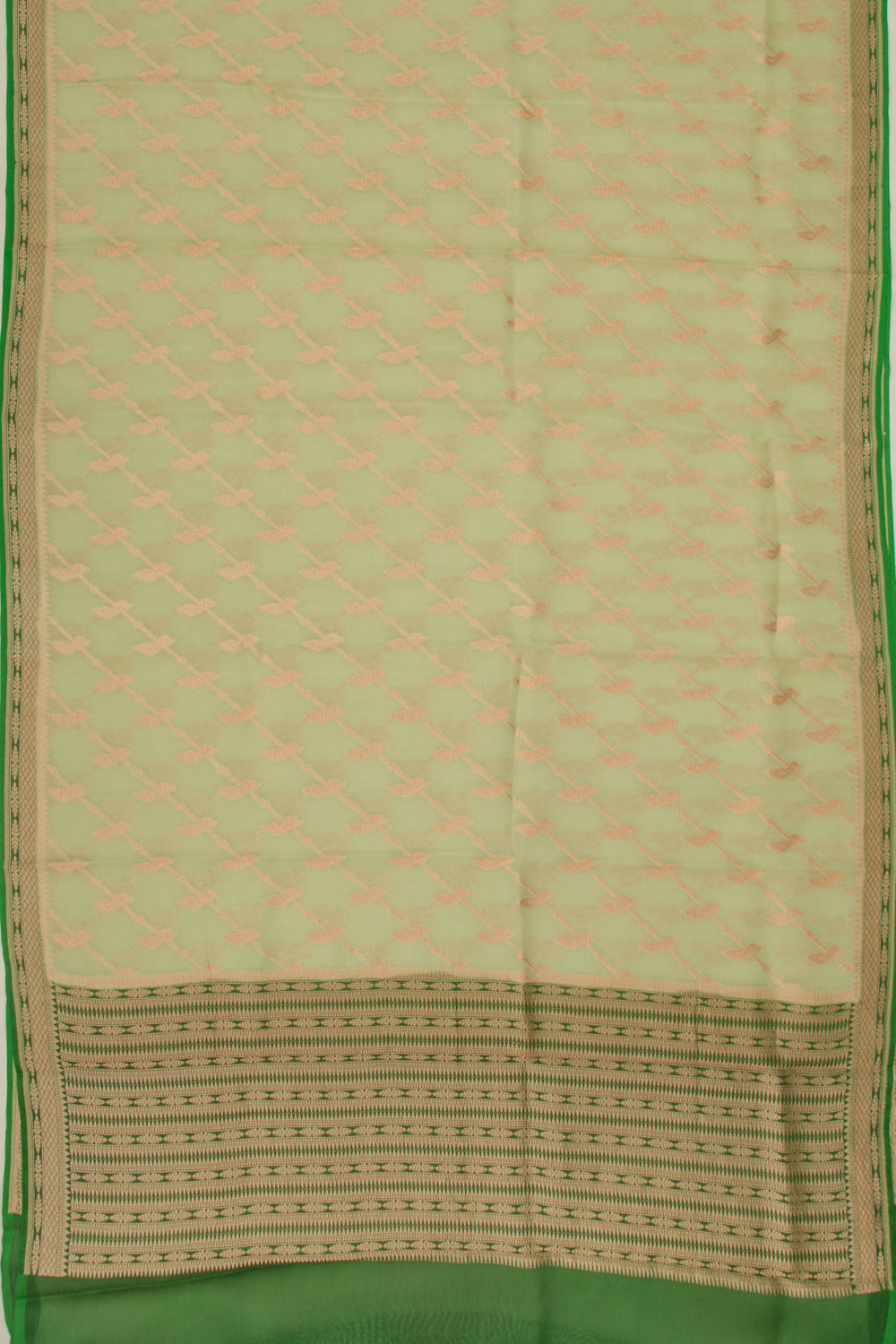 Organza Jaal Pastel Green Saree