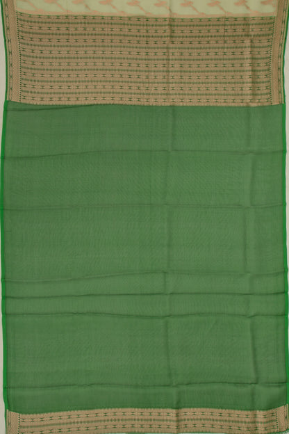 Organza Jaal Pastel Green Saree