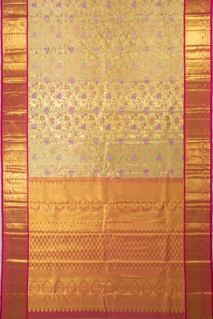 Taranga Kanchi Silk Tissue Jaal Gold Saree