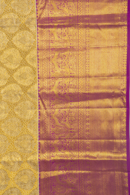 Taranga Kanchi Silk Tissue Brocade Gold Saree