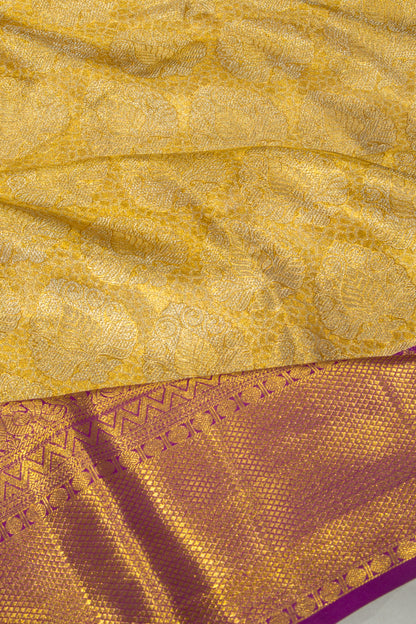 Taranga Kanchi Silk Tissue Brocade Gold Saree