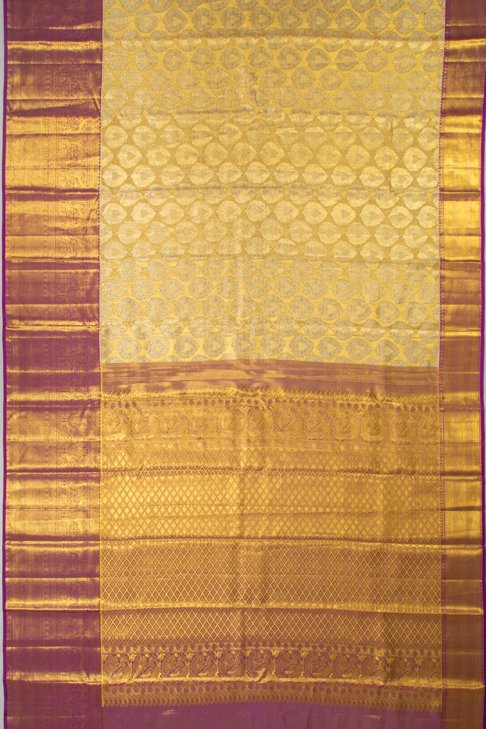 Taranga Kanchi Silk Tissue Brocade Gold Saree