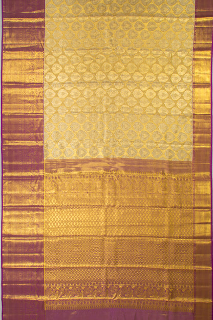 Taranga Kanchi Silk Tissue Brocade Gold Saree