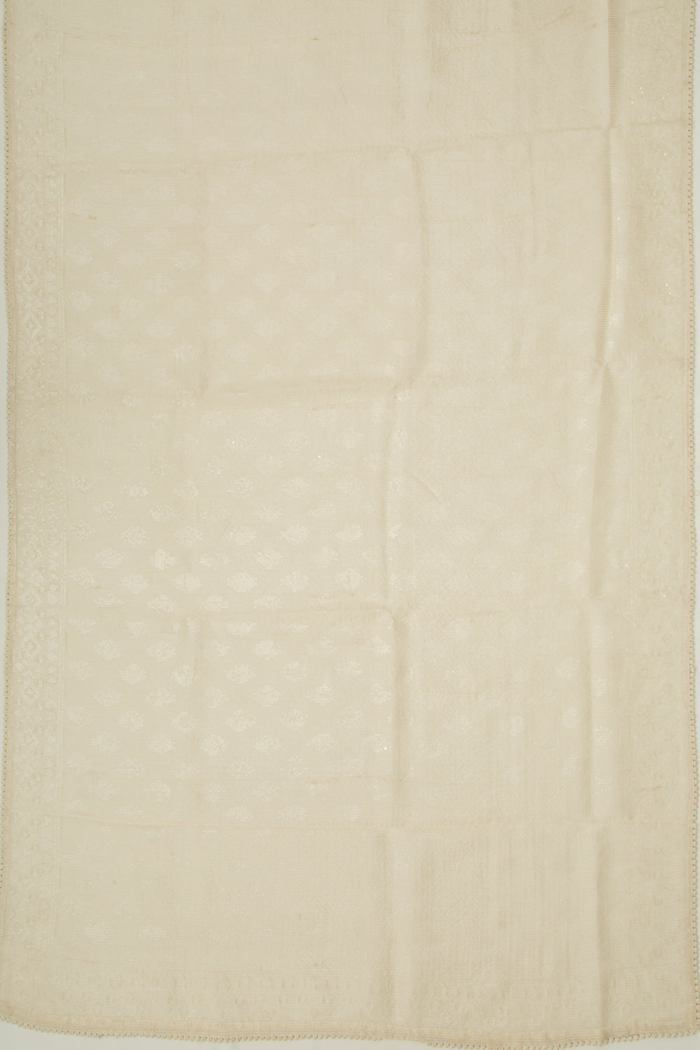 Organza Sequin Work Brocade Off White Saree