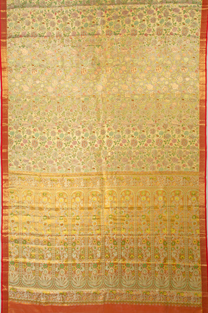 Kanchipuram Silk Tissue Jaal Gold Saree