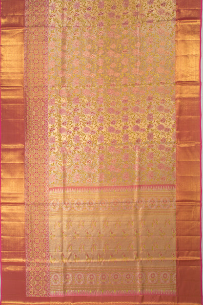 Taranga Kanchi Silk Tissue Brocade Gold Saree