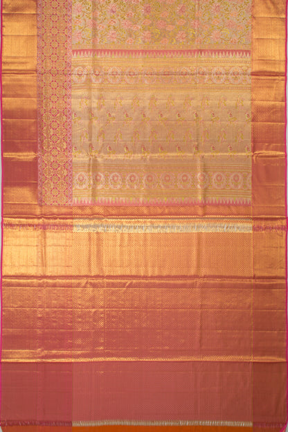 Taranga Kanchi Silk Tissue Brocade Gold Saree