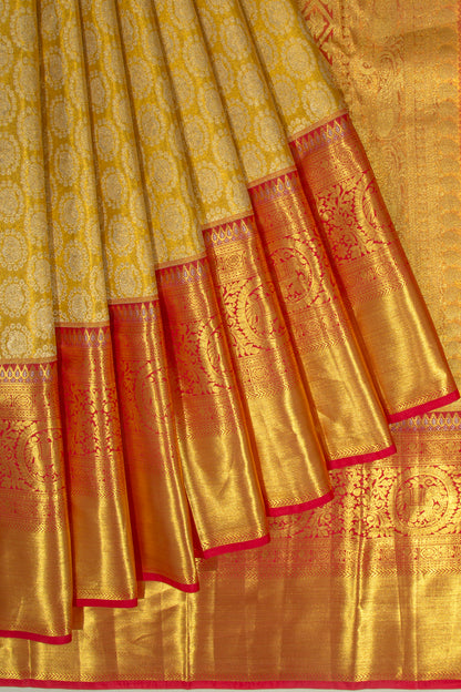 Taranga Kanchi Silk Tissue Brocade Gold Saree